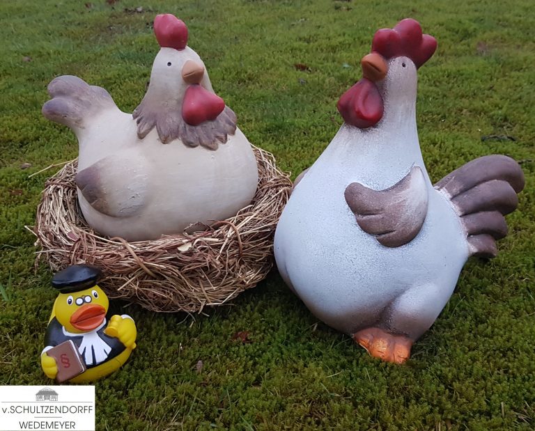 Ab Wann Darf Ein Hahn Morgens Krähen www.kanzlei-dorfmark.de